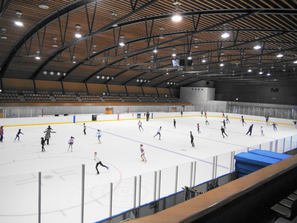 Skating Ice Arena