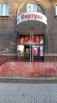 Фортуна (prospekt Lenina, 12), tienda de productos