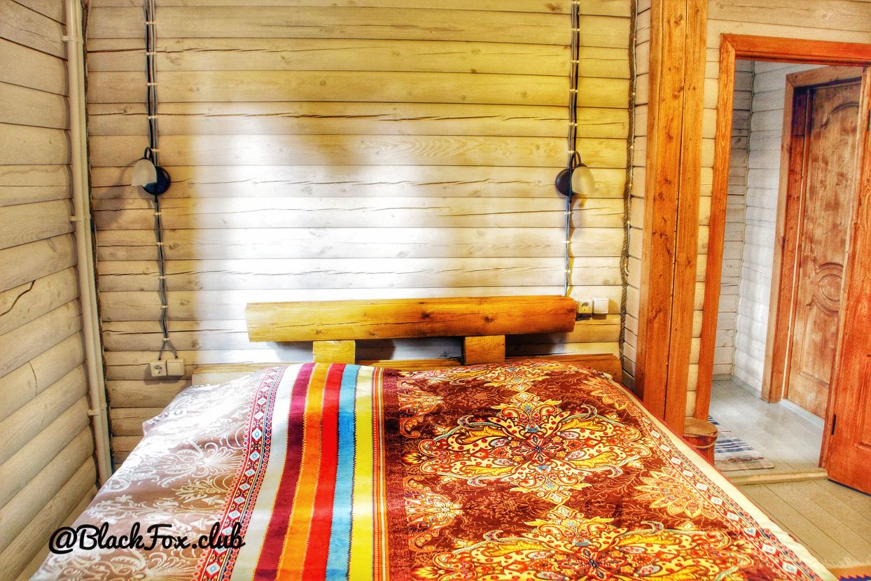 Фото Черная лиса