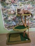 Cat i Dog (prospekt Stroiteley, 22), muebles a medida