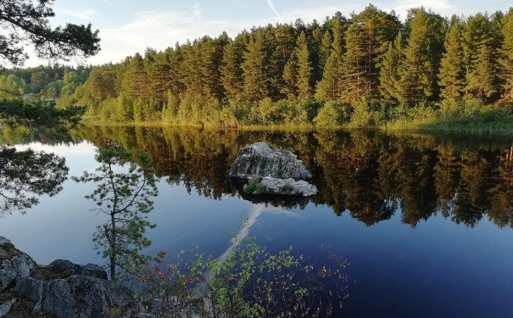 Фото Территория уюта