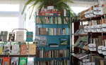 Титовская сельская библиотека (selo Titovka, Klubnaya ulitsa, 37А), library