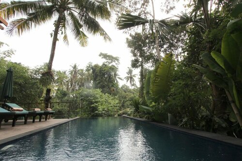 Гостиница Tree Tops Villa