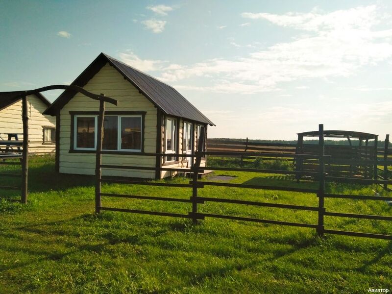 Фото Авиатор