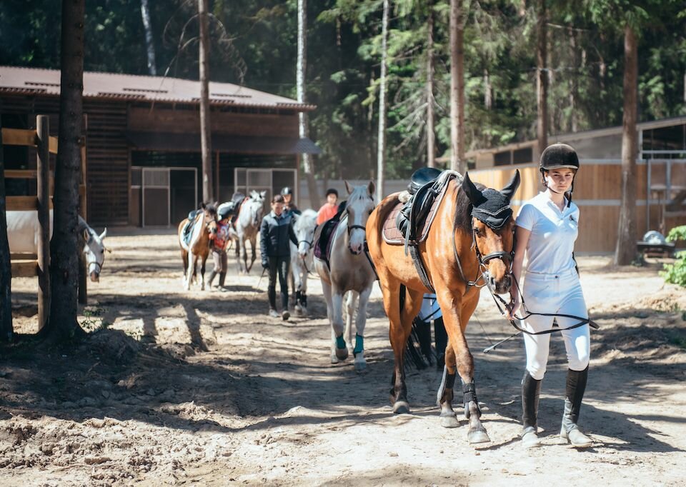 Summer camp Almazovo, Moscow and Moscow Oblast, photo