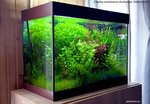 Aquadesign studio Vladimir Khodakovsky (Drozhzhino, Novoe Highway, 7к2) ، أحواض السمك