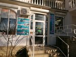 Спорттовары (улица Громова, 56), sports store