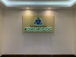 Konsist-OS (Projected Drive 4062, 6с25), it company