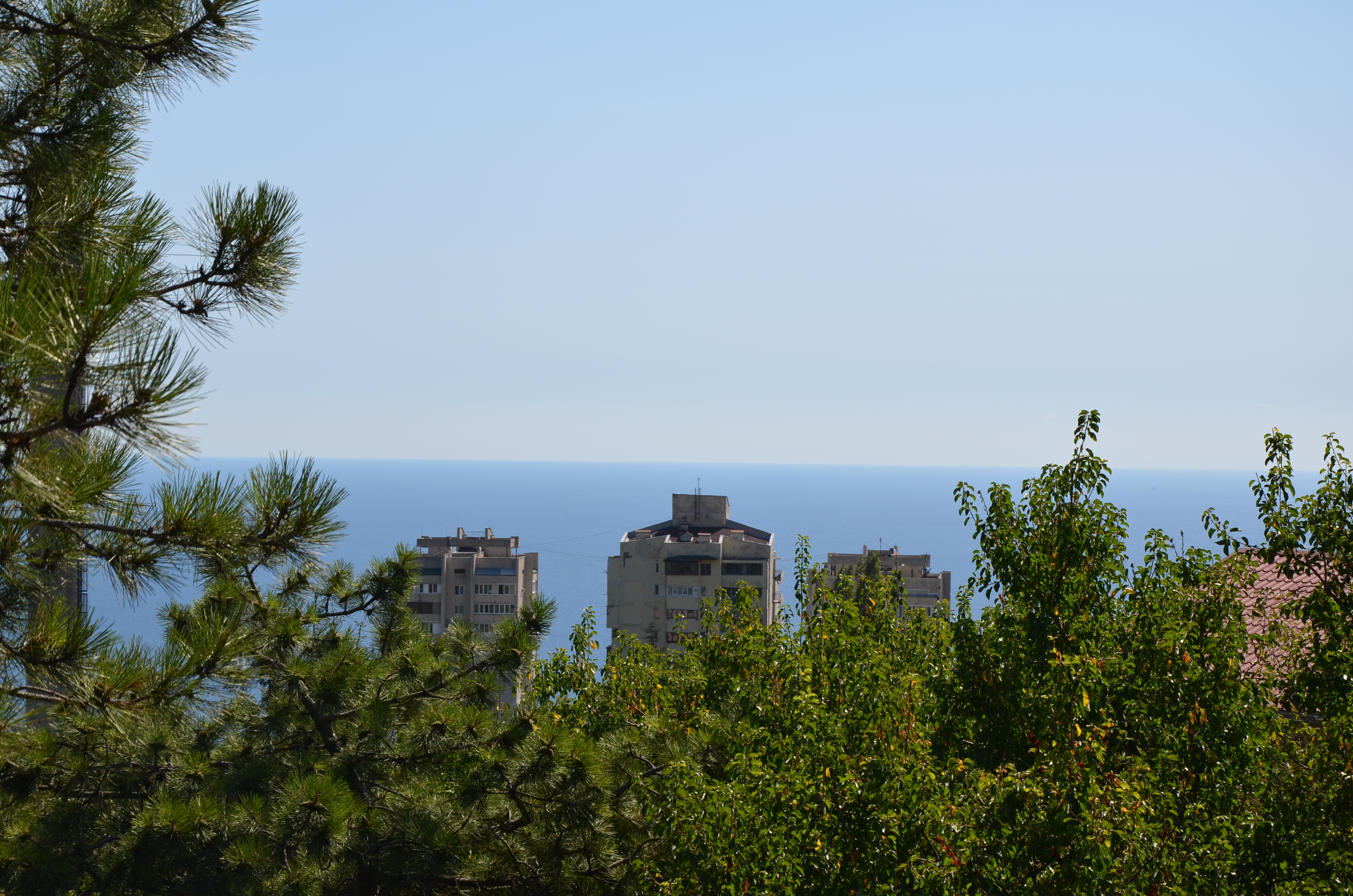 Фото Лесная Сказка