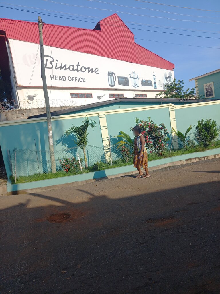 Home appliances wholesale Binatone, Earth, photo