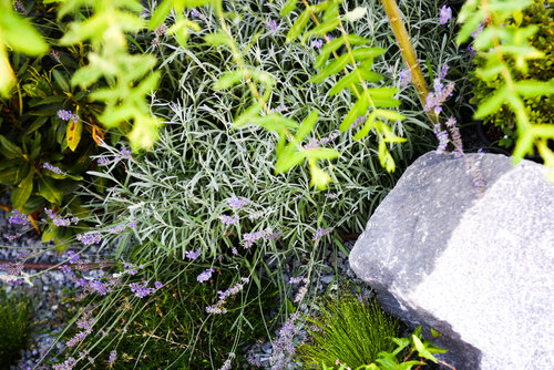 Гостевой дом Барнхаус в Трудовском сельском поселении