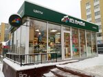 Vse puchkom (Karla Marksa Street, 127А) ، محل زهور