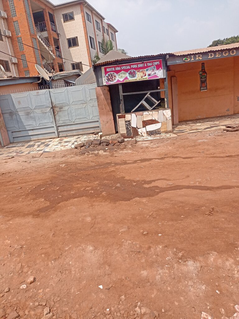 Fast food Auntie Ama Special Pork Joint & Yam Chips, Accra, photo