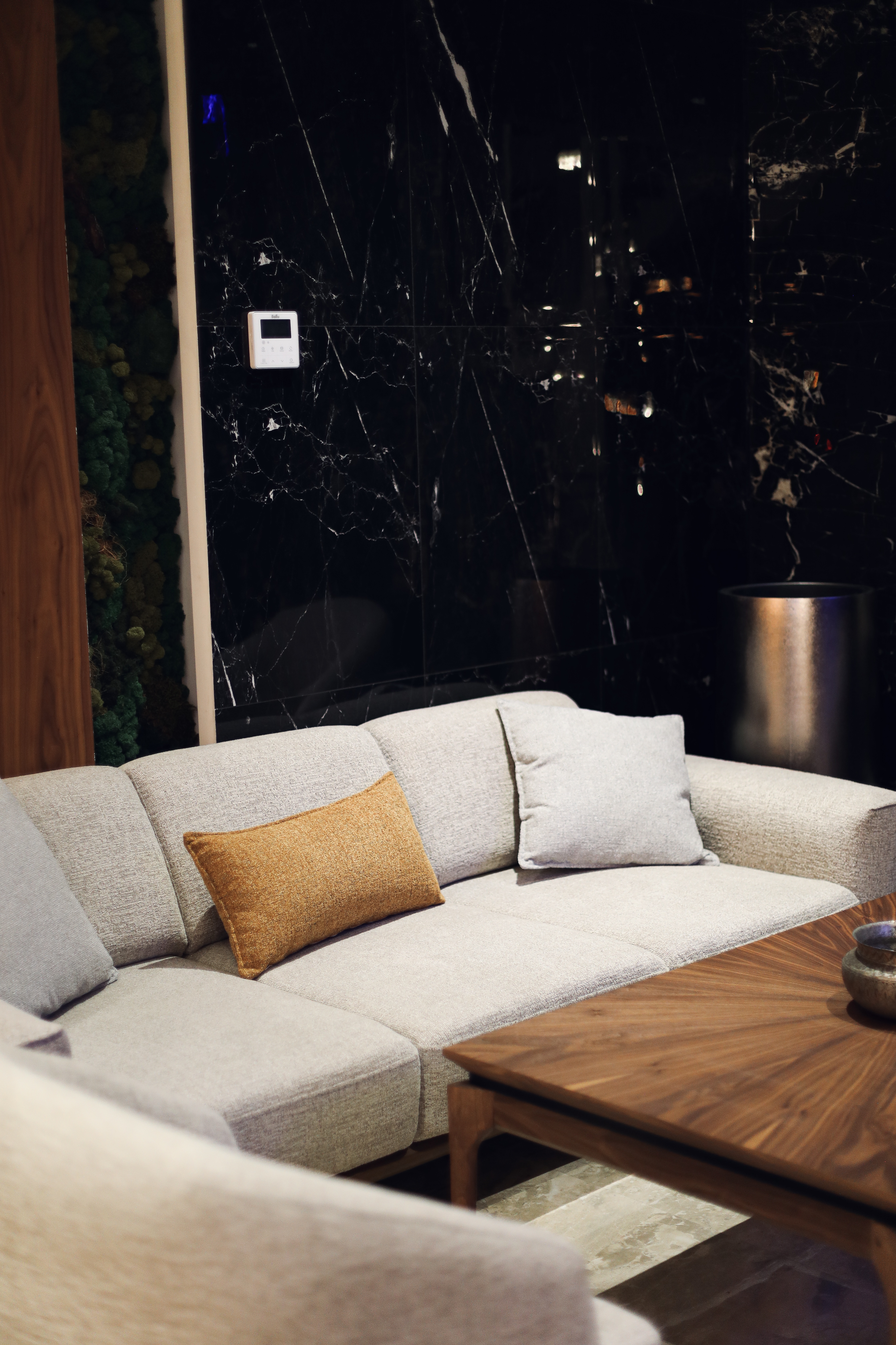 Фото Рамина