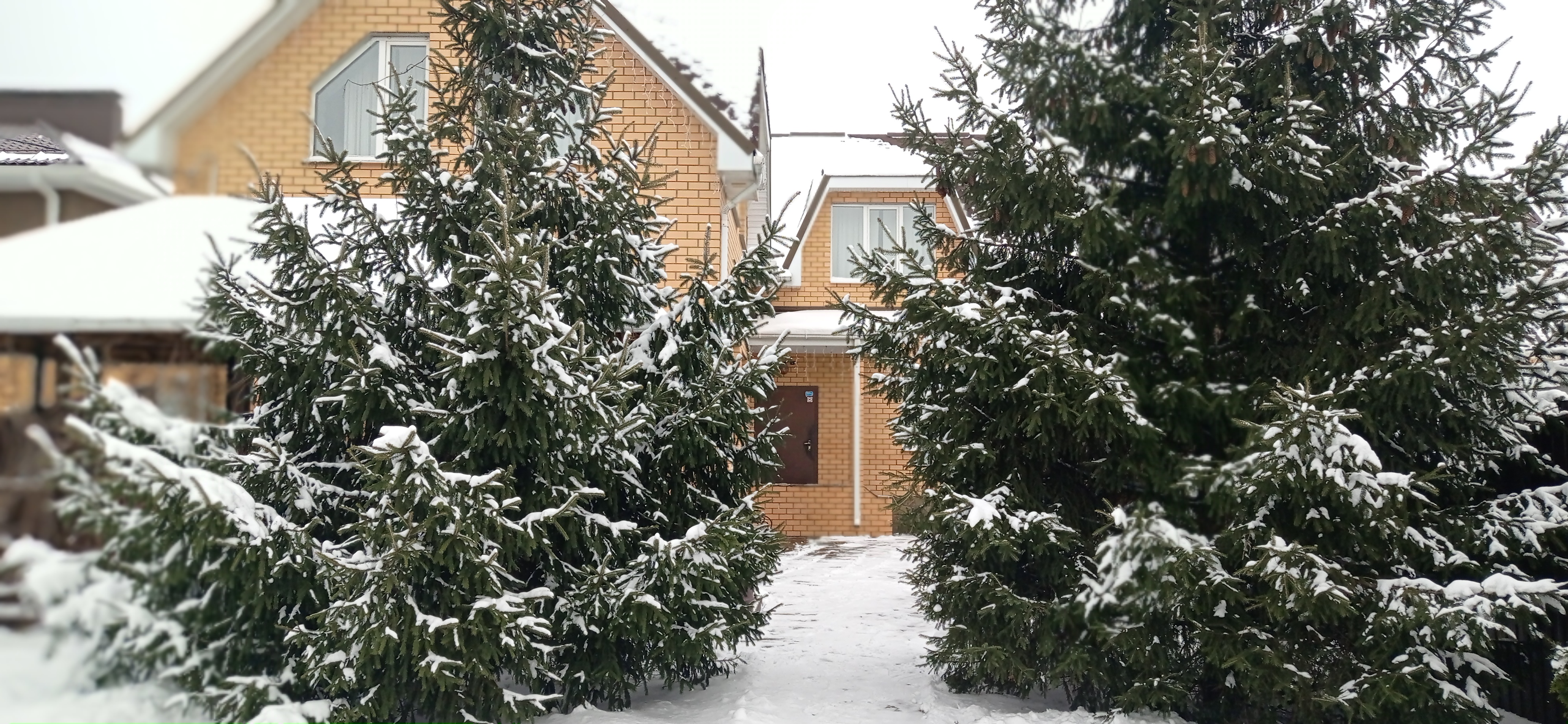 Фото Апартаменты Репное