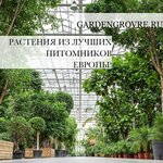 GardenGrove.ru (Molodogvardeyskaya Street, 61с17), artículos para el interior