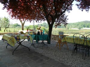 Отдых на ферме Amedea Tuscany Country Experience