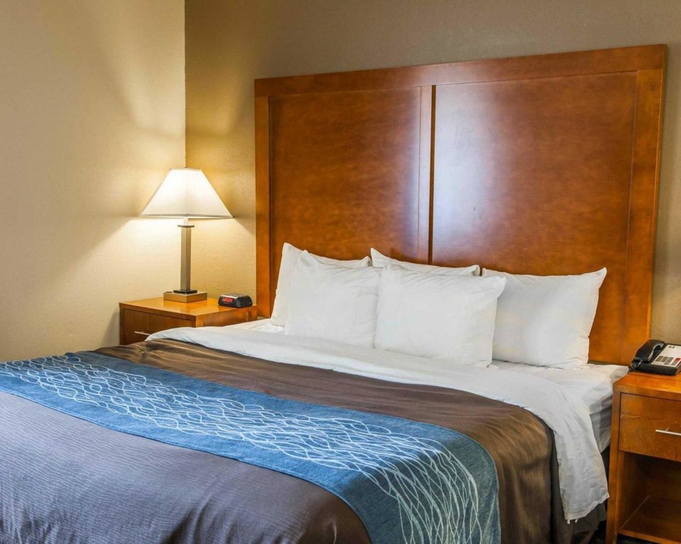 Фото Comfort Inn South