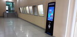 Смарт-киоск МГТУ (Lenina Avenue, 38), information terminal
