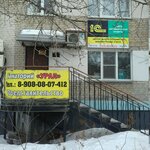 Dissar (Engelsa Street, 41), it company