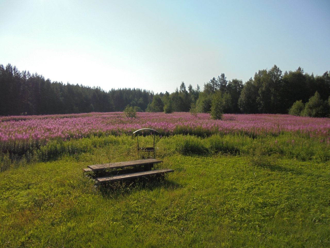 Фото Курмойла