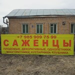 Pitomnik (derevnya Mikheyevo, Kaluzhskaya Street, 52), garden center