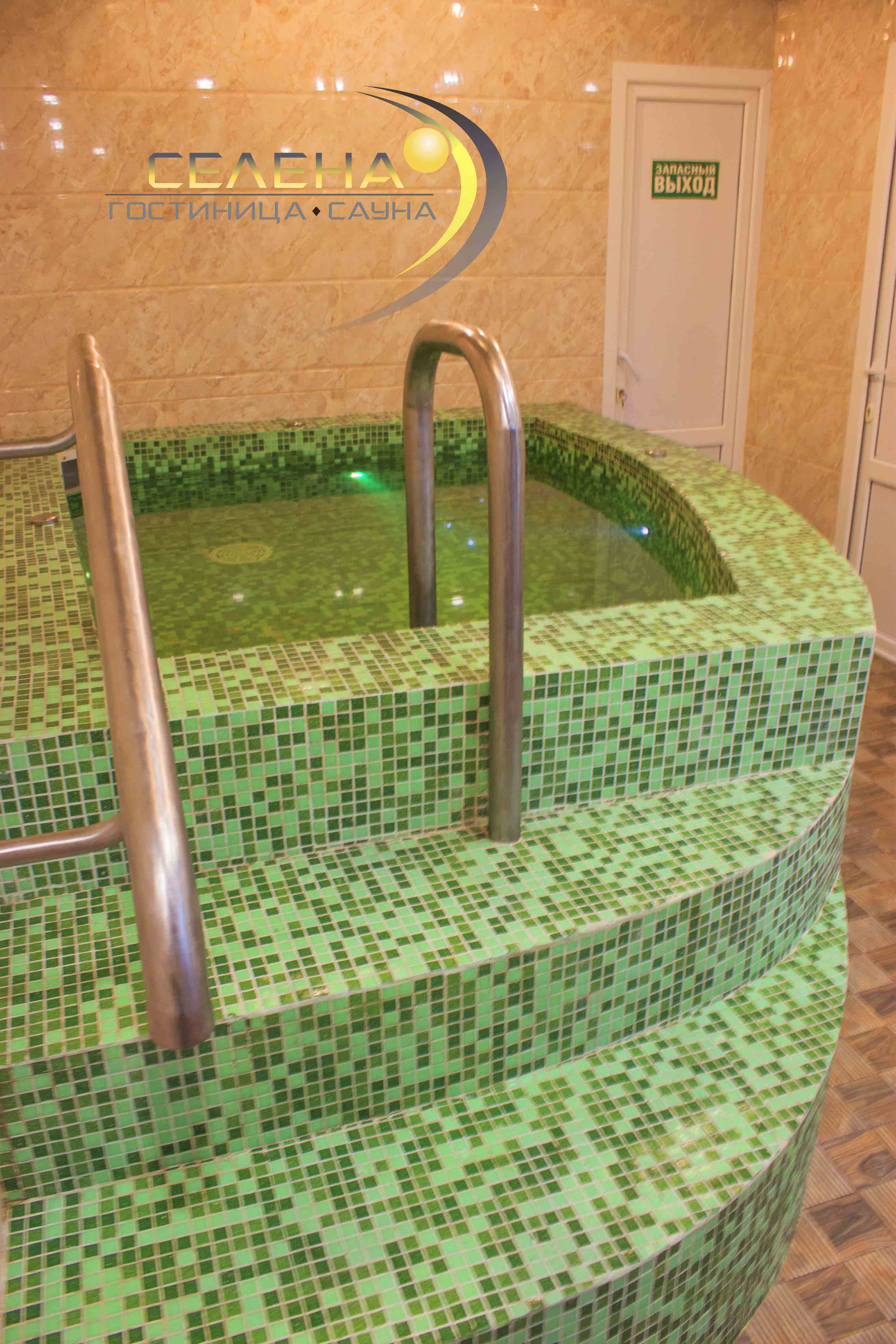 Фото Селена