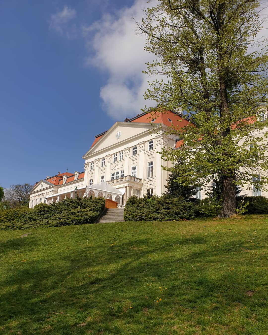 Фото Austria Trend Hotel Schloss Wilhelminenberg