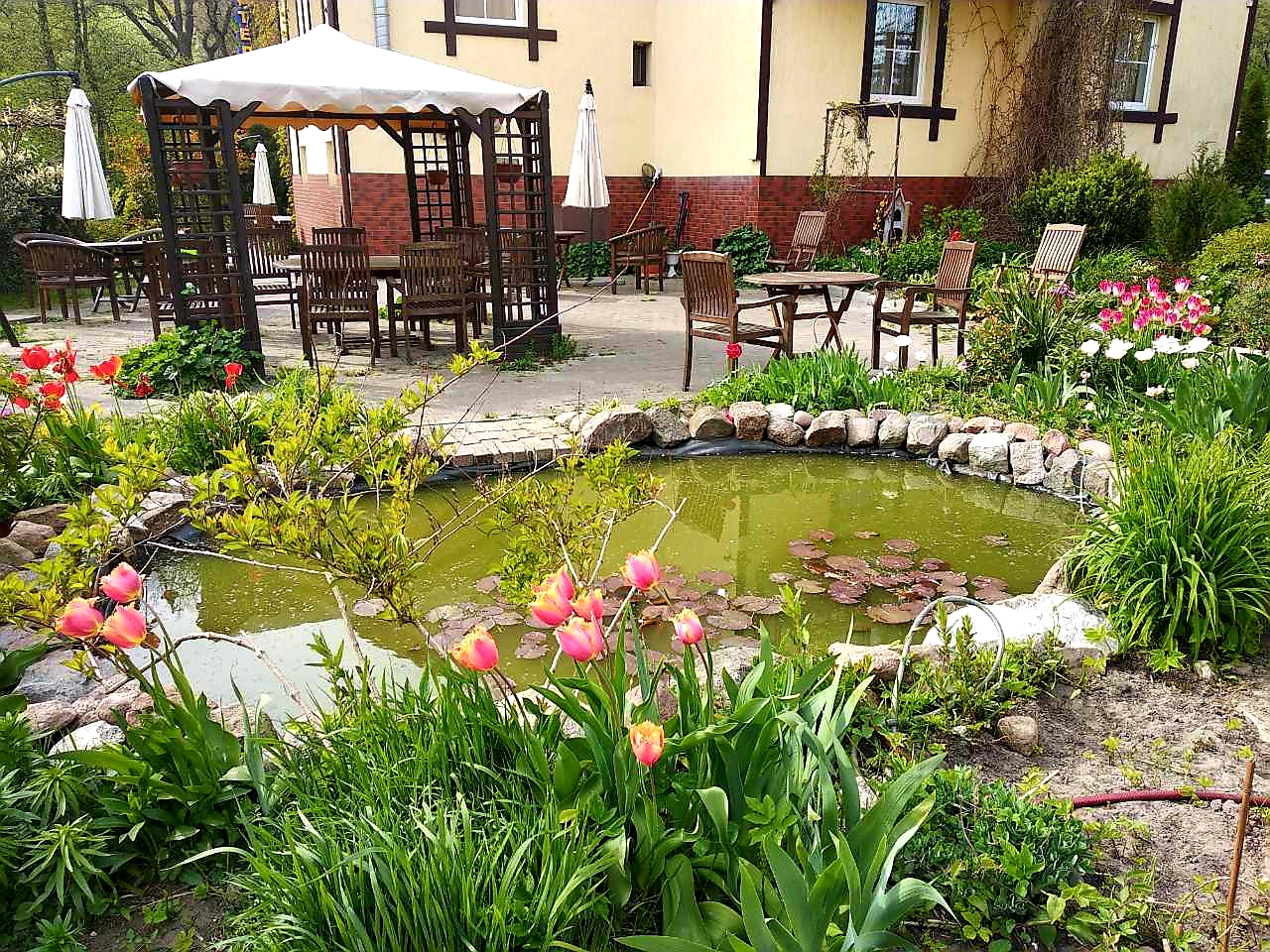 Фото Золотая Орхидея