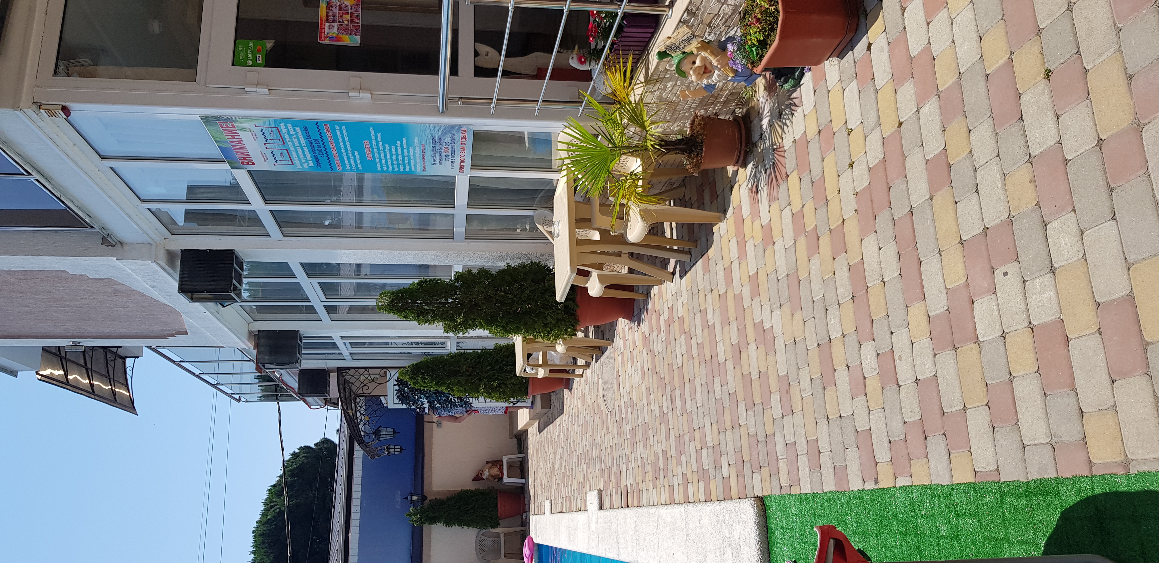 Фото Феникс