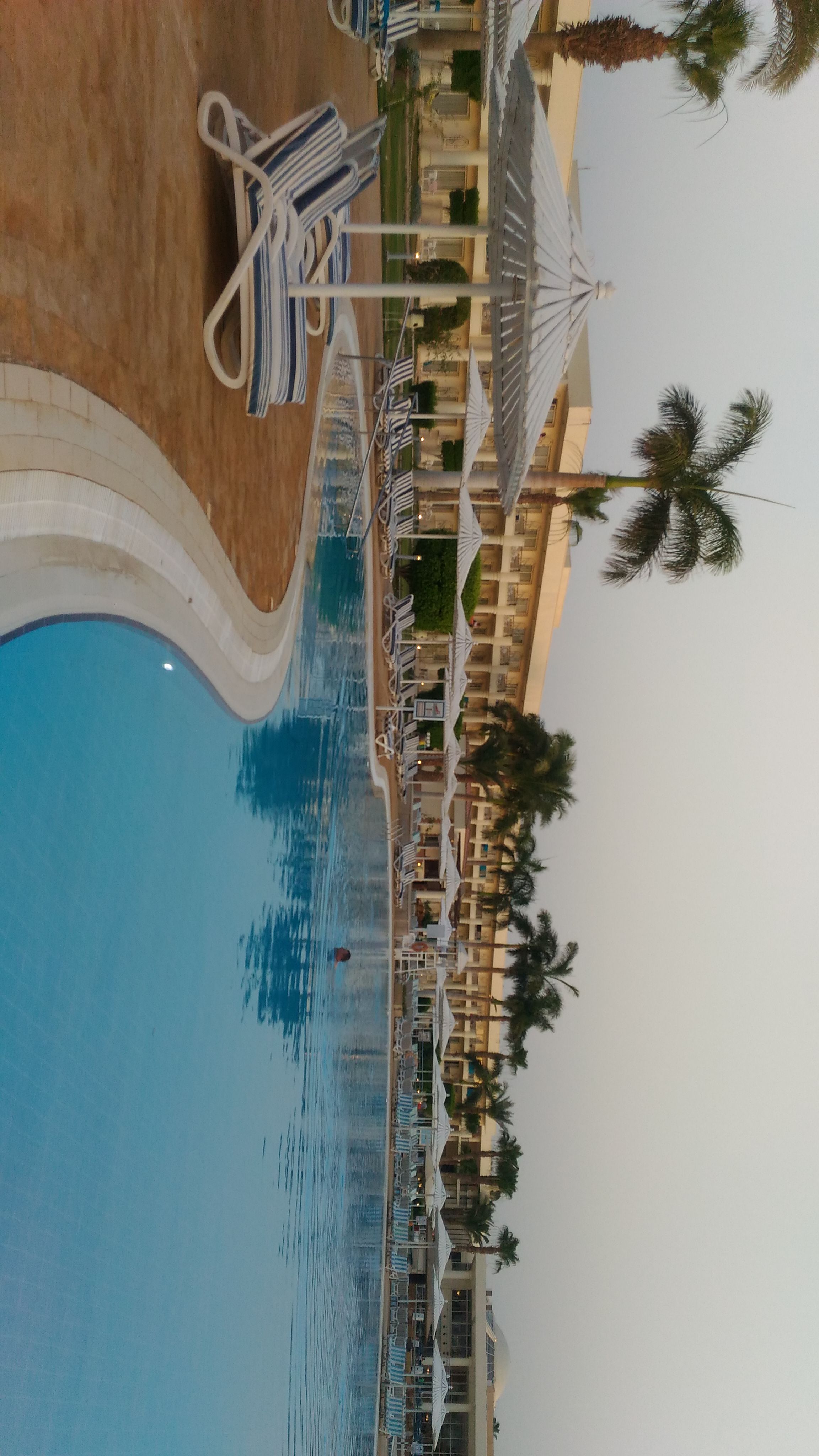 Фото JAZ Royal Palmariva