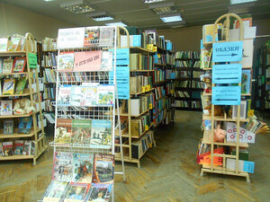 Tsentralnaya detskaya biblioteka (Bolshaya Moskovskaya ulitsa, 31), library