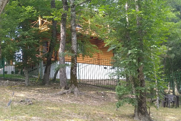 Фото Загородный дом в лесу