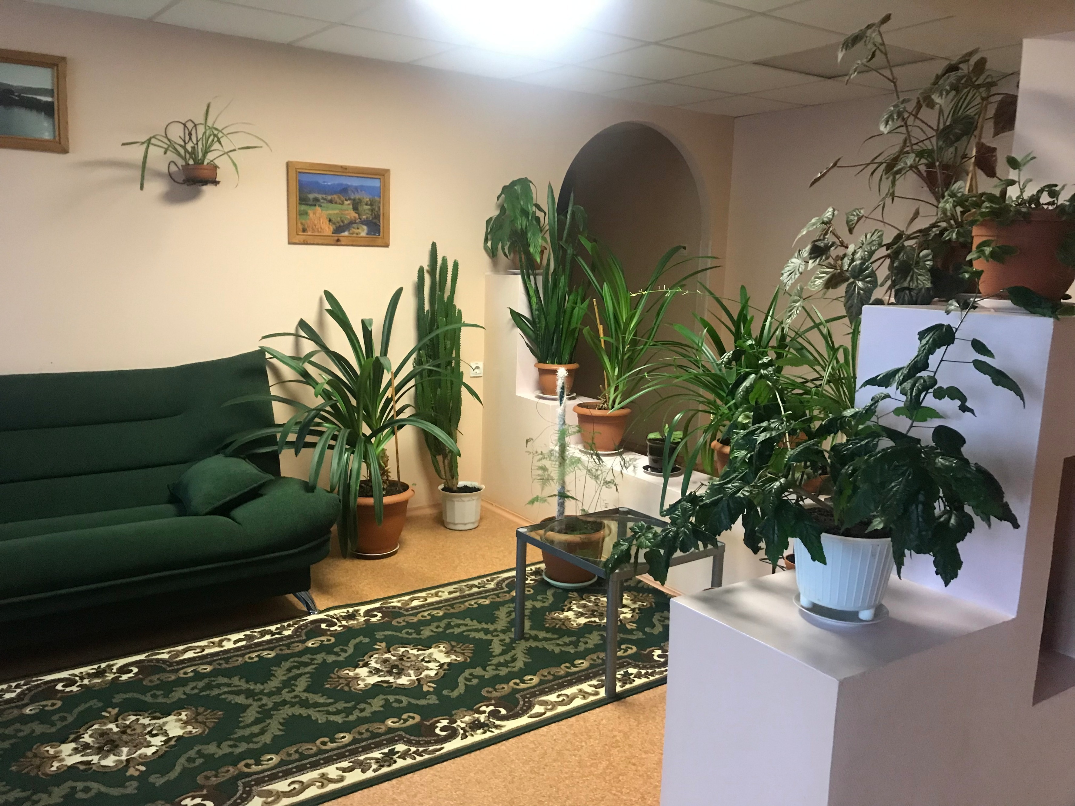 Фото Северное сияние