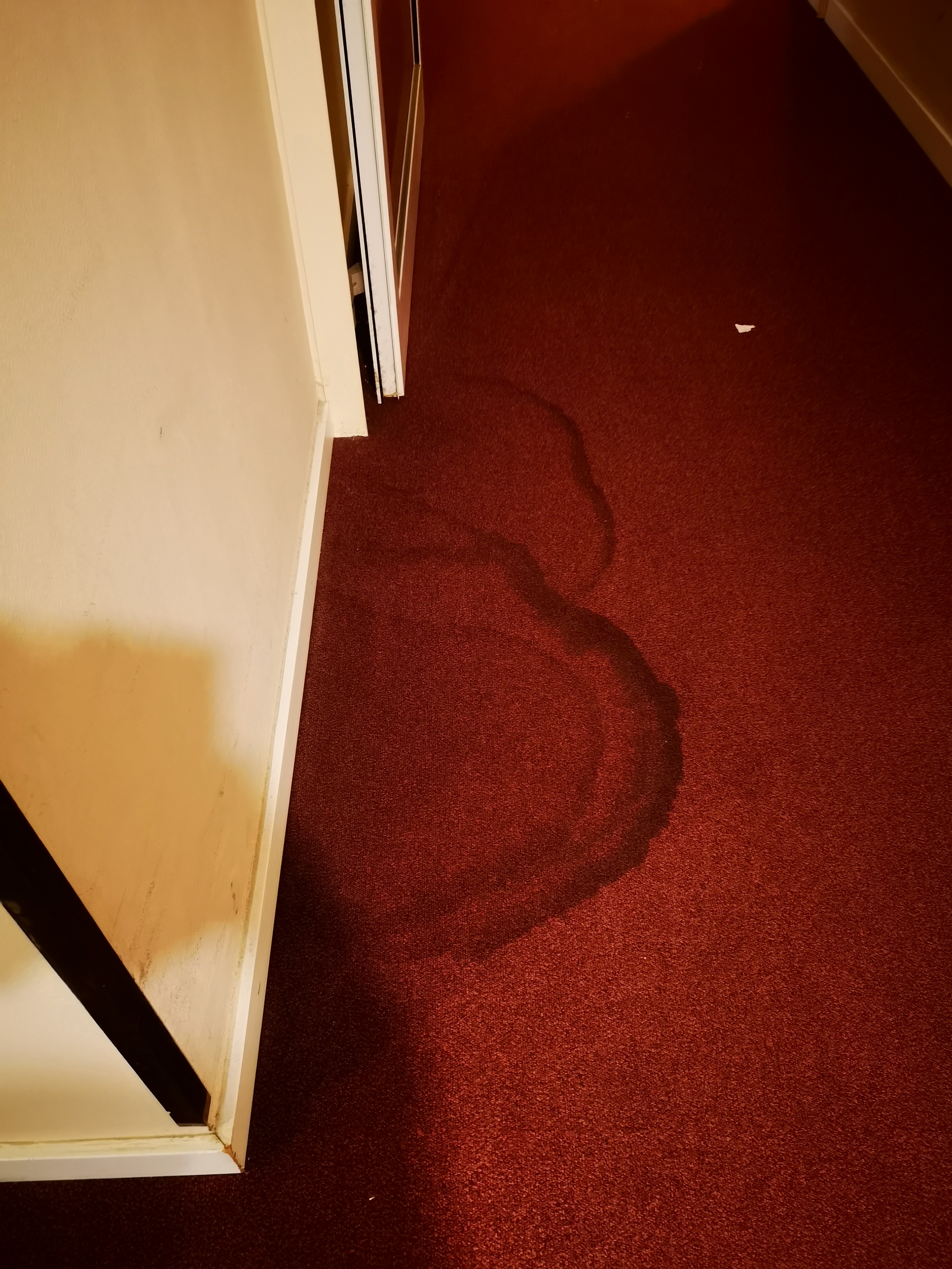 Фото Hotel Regent München