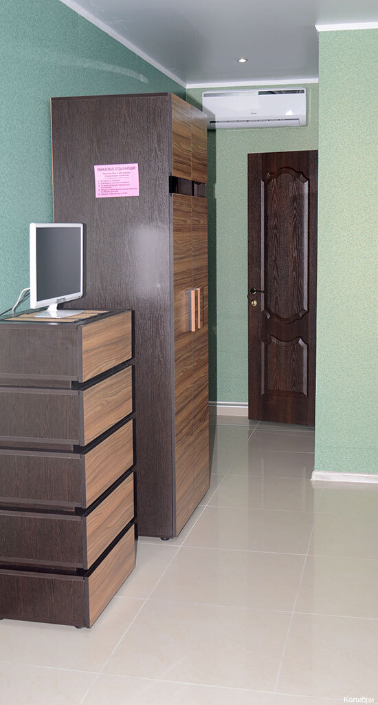 Фото Колибри