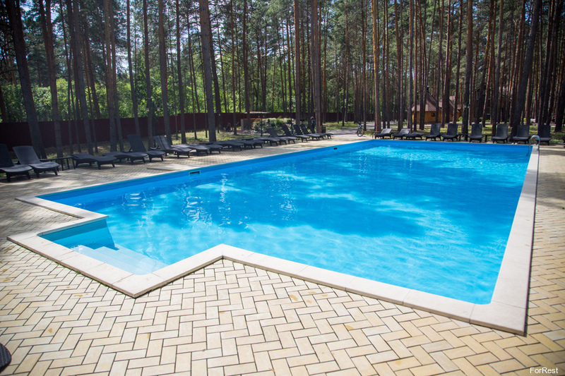 Фото ФорРест