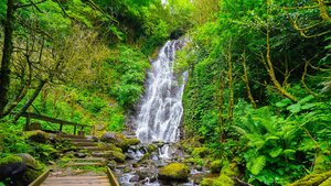 Mirveti Waterfall (Autonomous Republic of Adjara, Khelvachauri Municipality, Village of Mirveti), waterfall