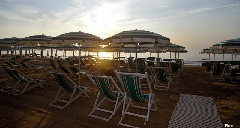 Фото Flora