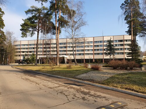 Лесные дали  фото 1