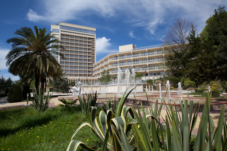 Фото Зелёная роща