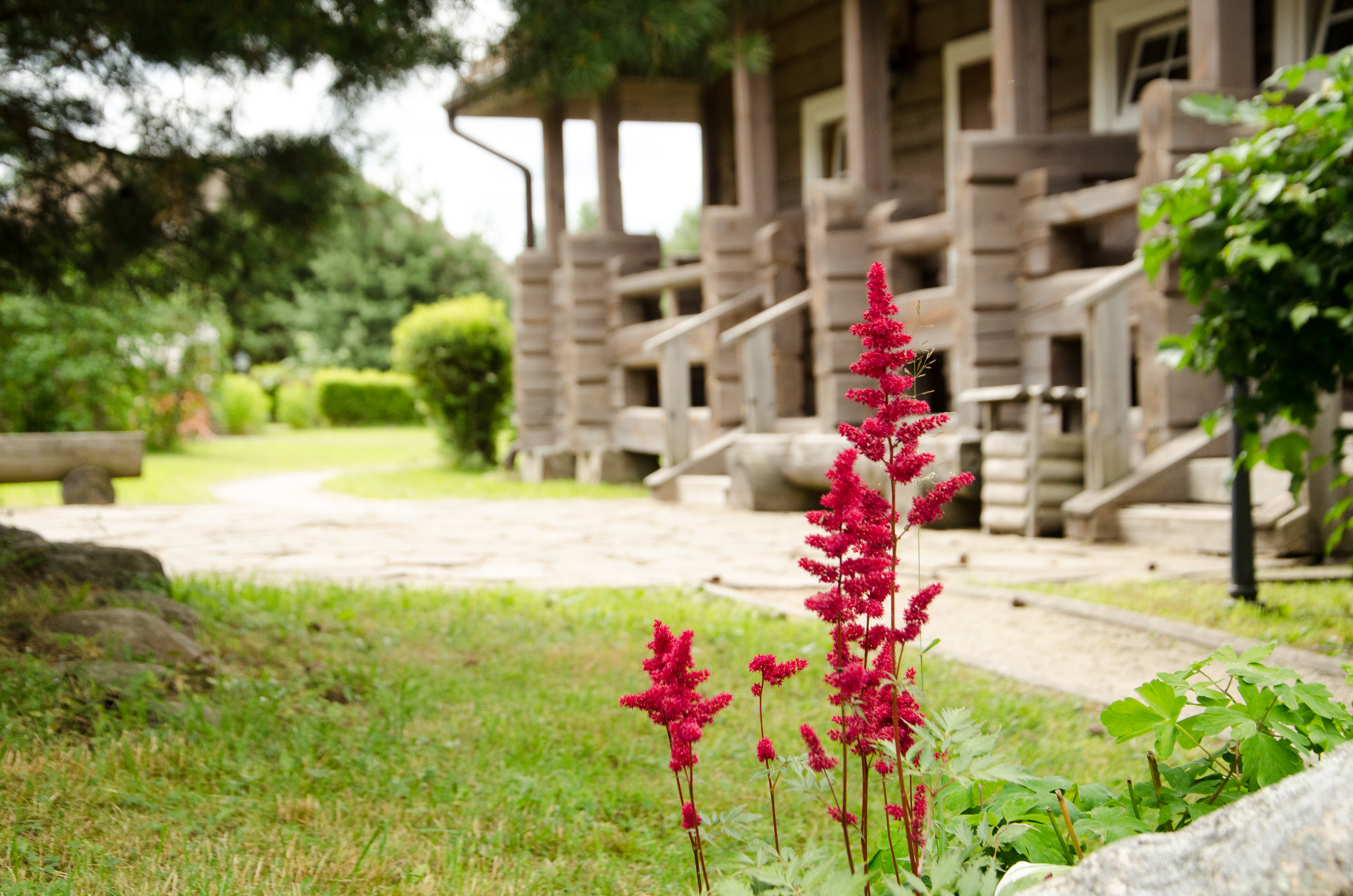 Фото Арина Р