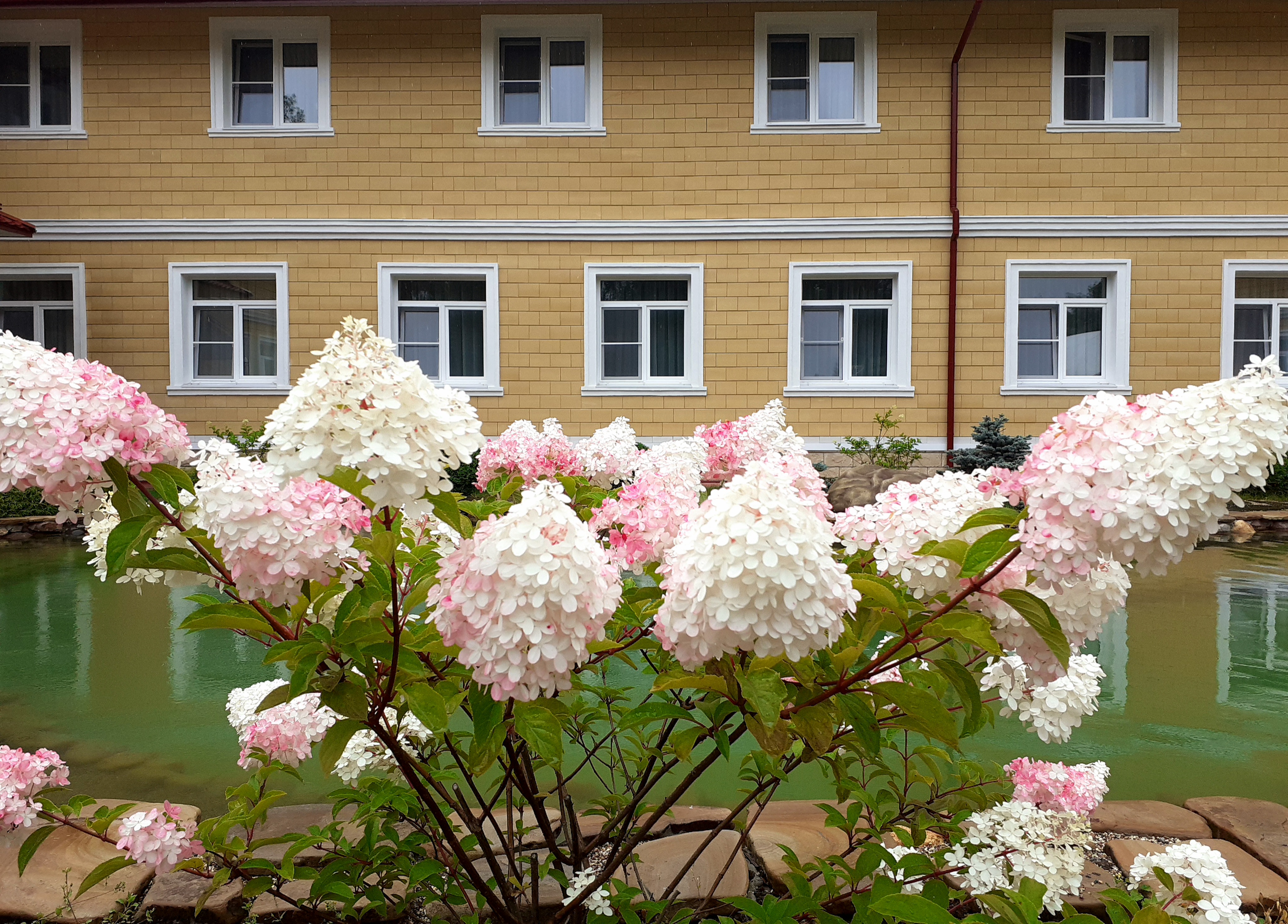 Фото Отель Ашукино