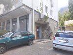Продуктовый магазин (посёлок городского типа Санаторное, улица Гагарина, 3), grocery