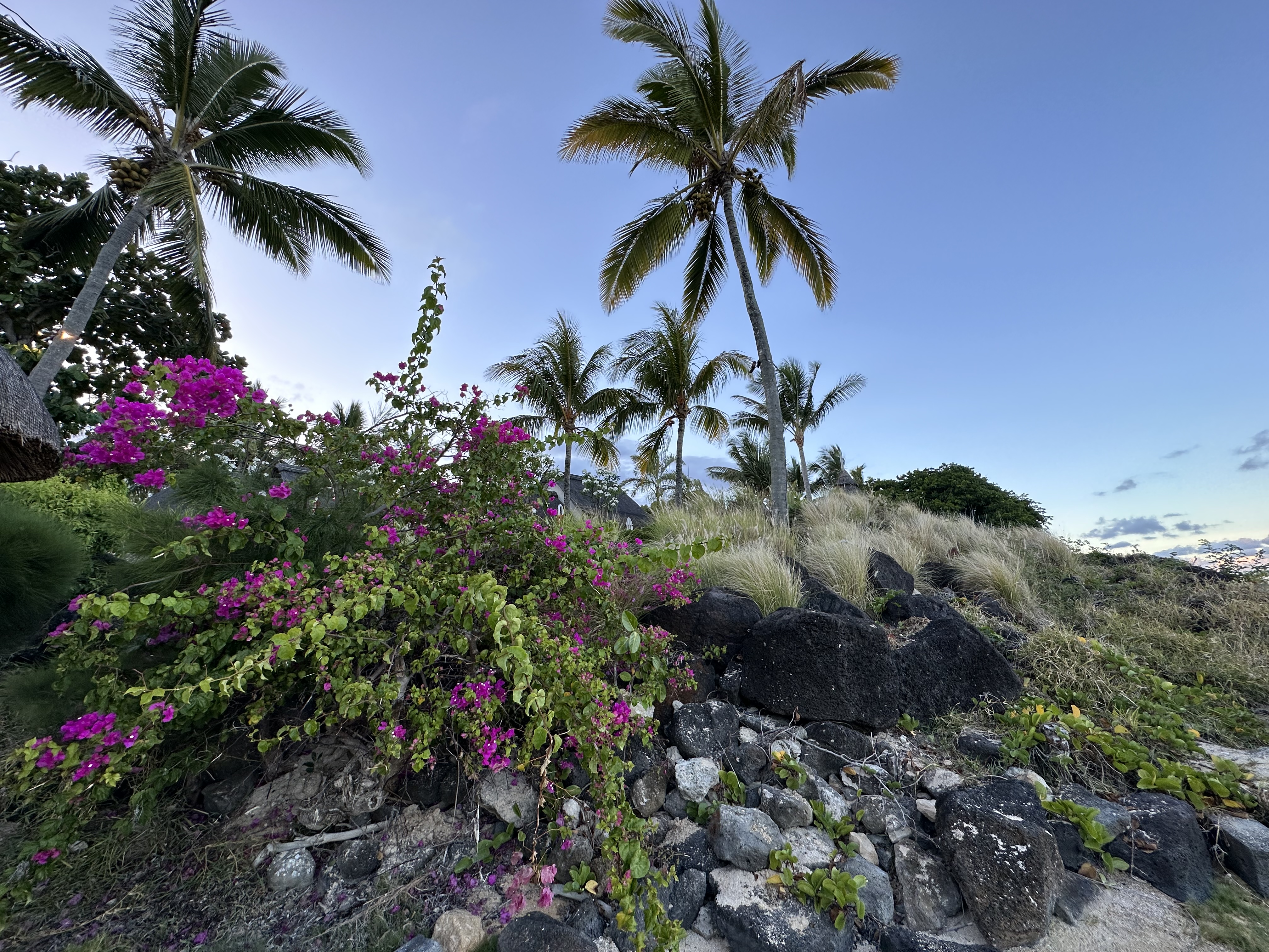 Фото Lux Grand Gaube