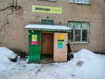 Авокадо (derevnya Ostapovo, Zelyonaya ulitsa, 72), grocery