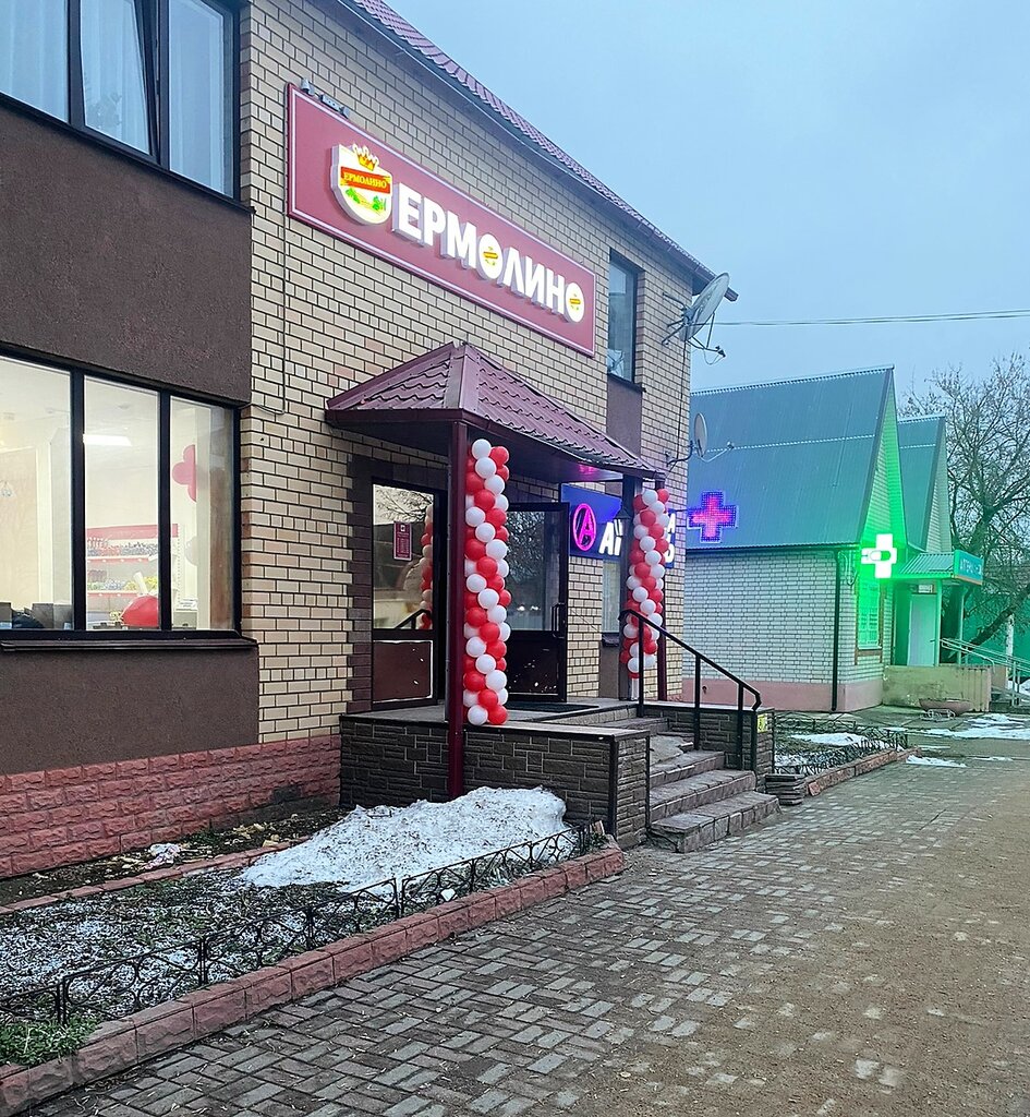 Grocery Ермолино, Pochinok, photo