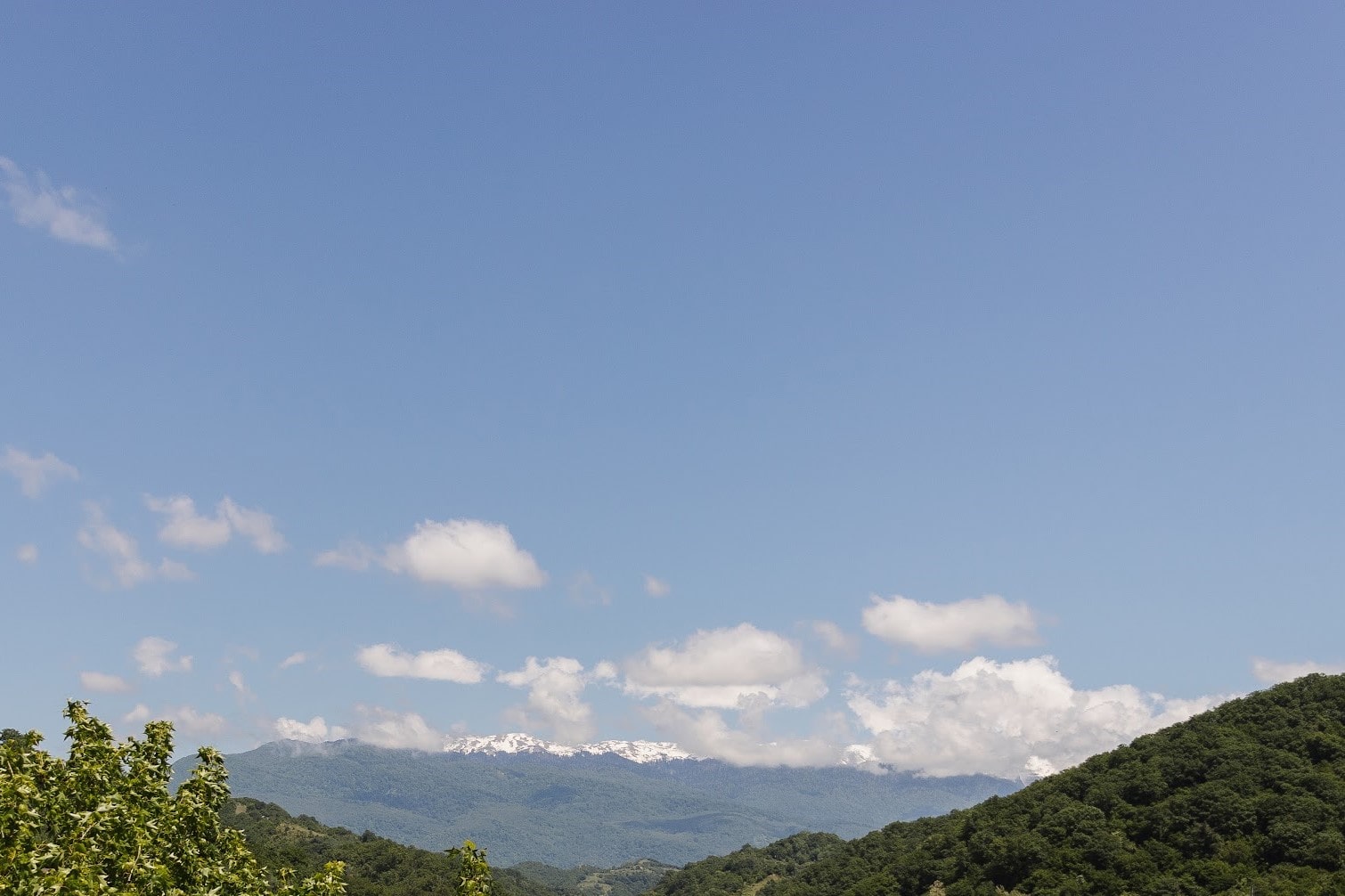 Фото Талион