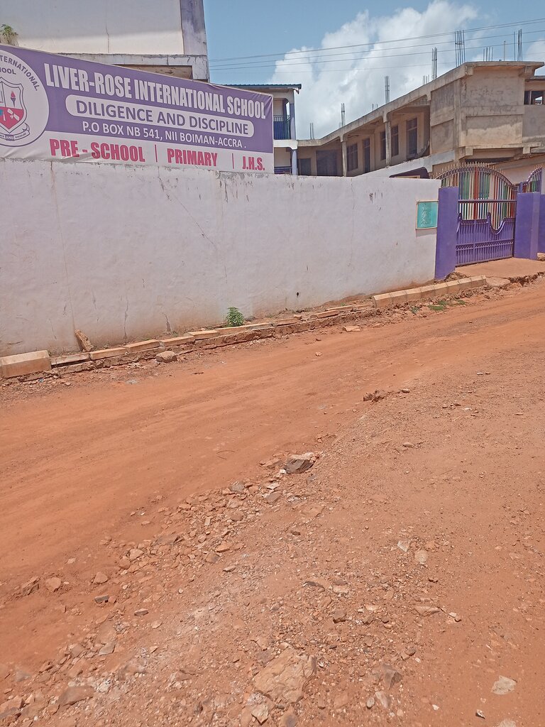 School Liver Rose International School, Earth, photo