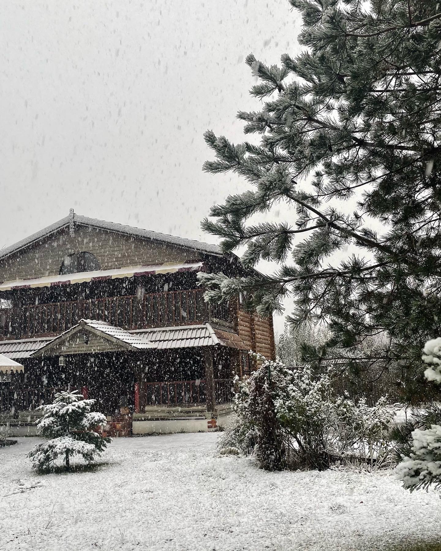 Фото Эколодж